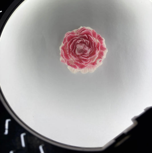 Blush Peony Bloom Diyaloom